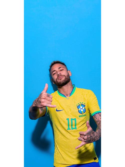 是否会拒签看世界杯的球迷？白宫官员：签证关乎国家安全（看世界杯的球迷会被拒签吗？白宫官员：签证涉及国家安全）