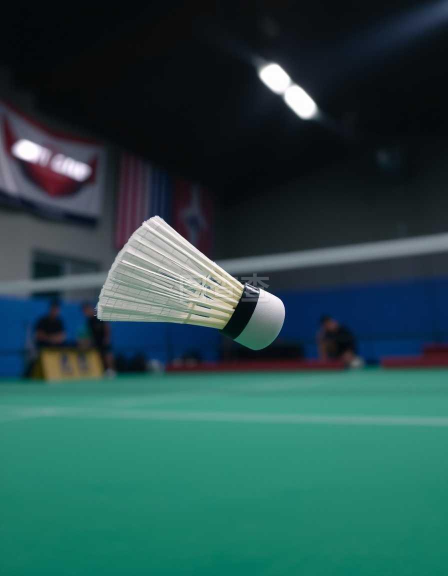 仅延续了她 仅延续了她